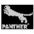 Panther Dollies and Cranes